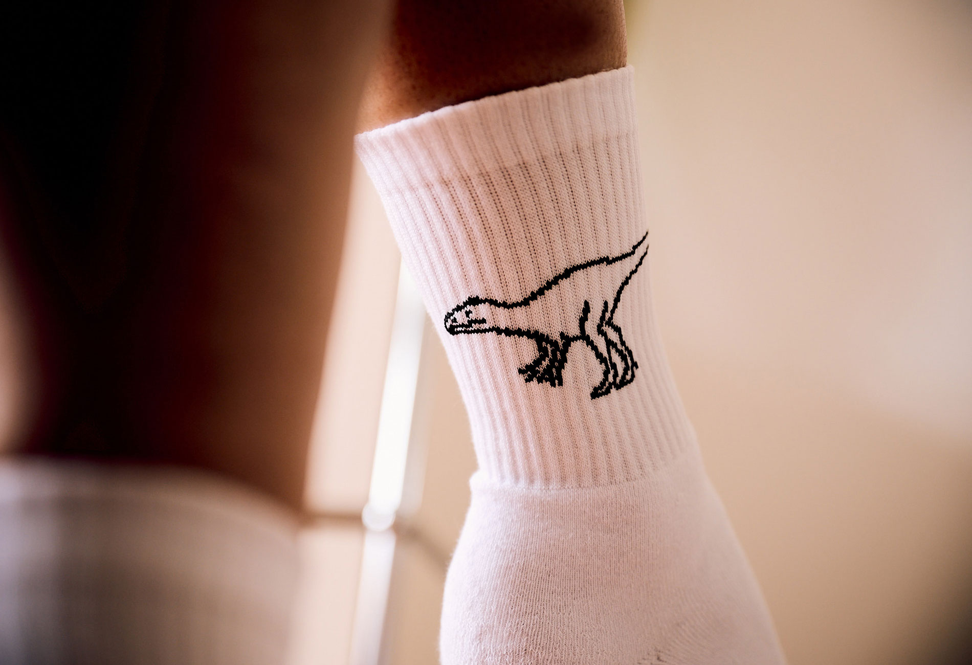 Socks_02