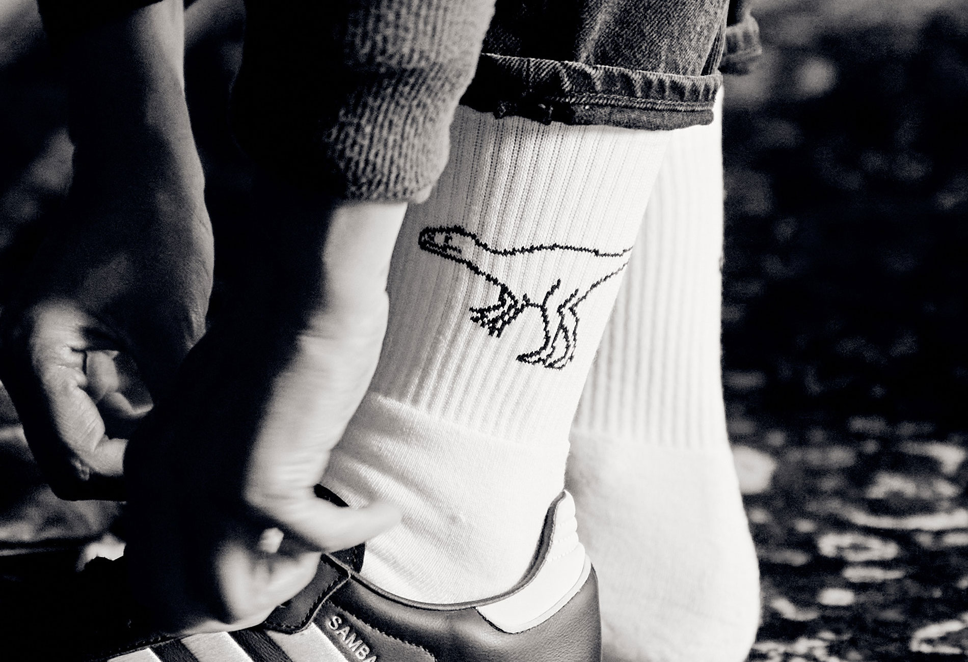 Socks_03