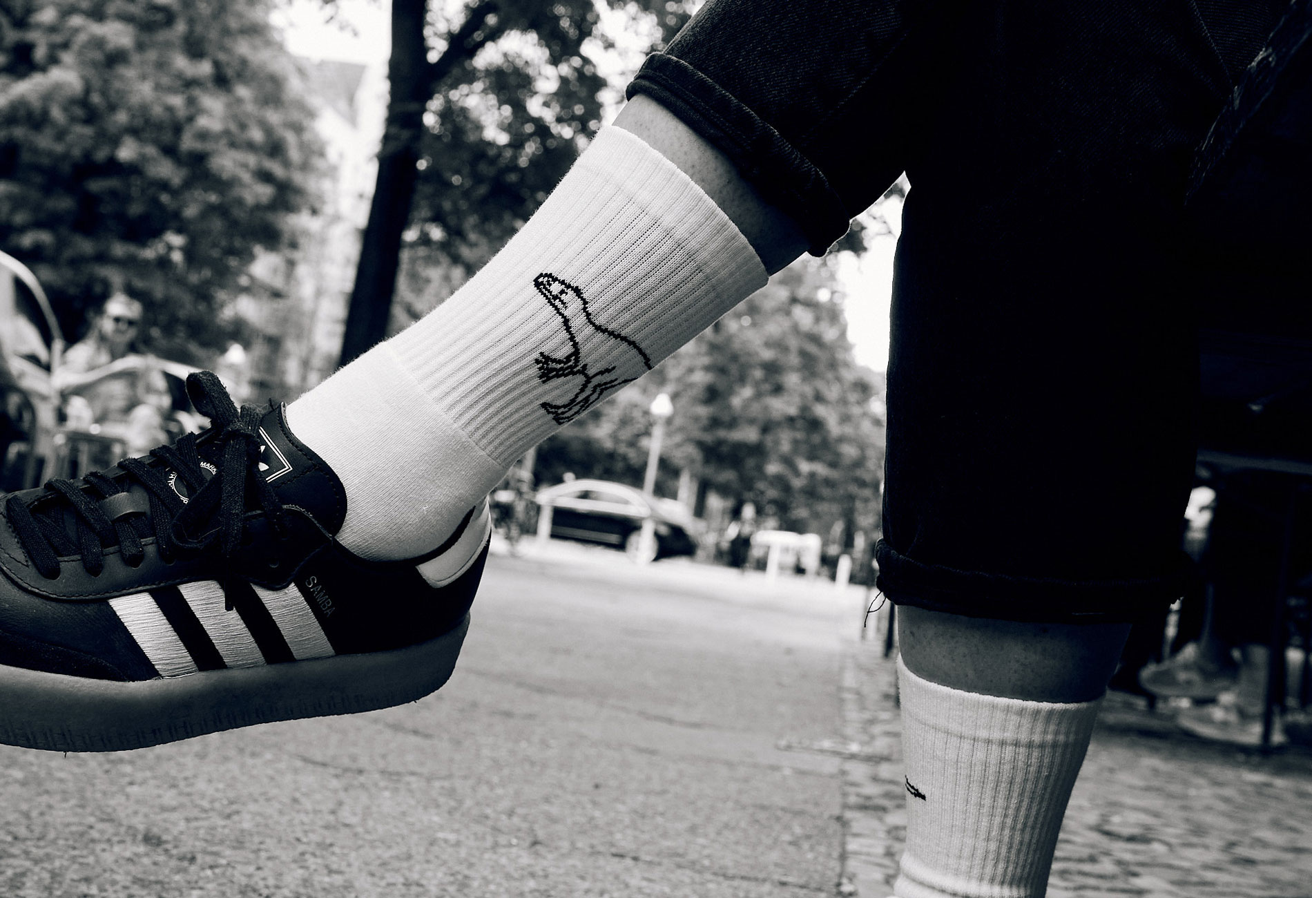 Socks_05