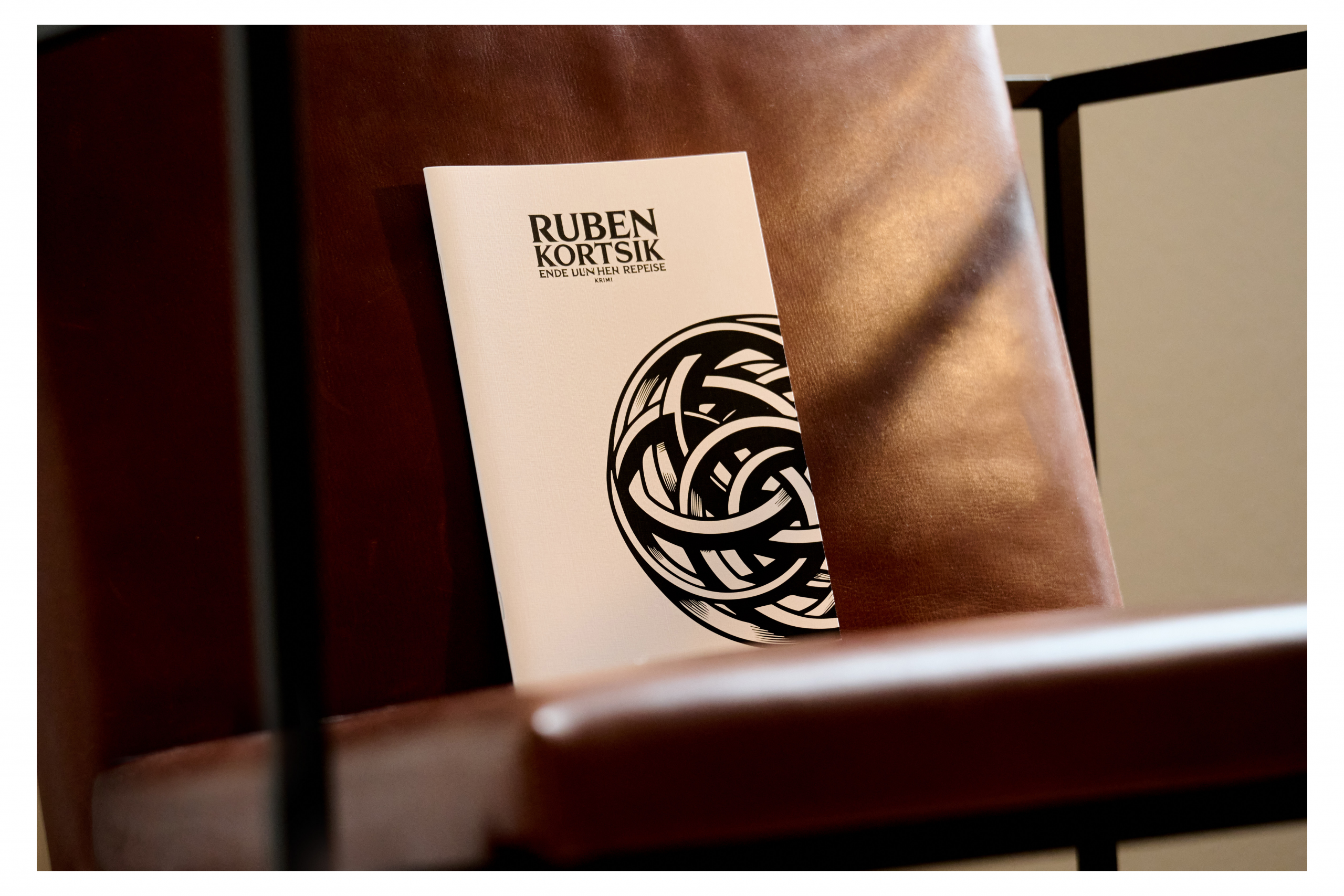 251103_Buch_Cover_Ende_einer_Reprise_0247
